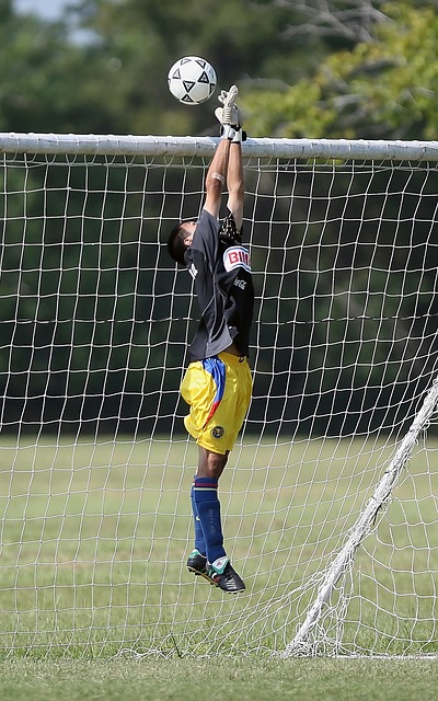 試圖藉此強 試圖藉此強