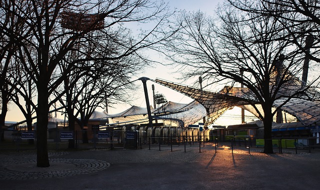 制订专项训 制订专项训