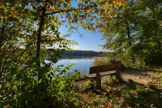 判比赛走势 判比赛走势