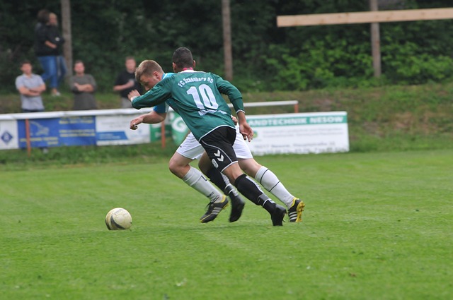 的出色表现 的出色表现