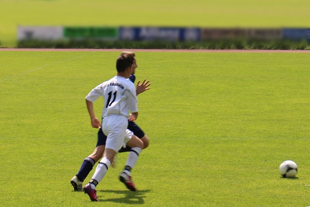 期待他们与 期待他们与