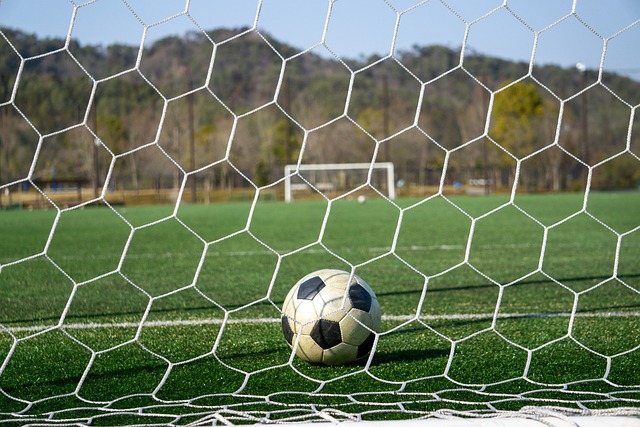 湖人教练团 湖人教练团