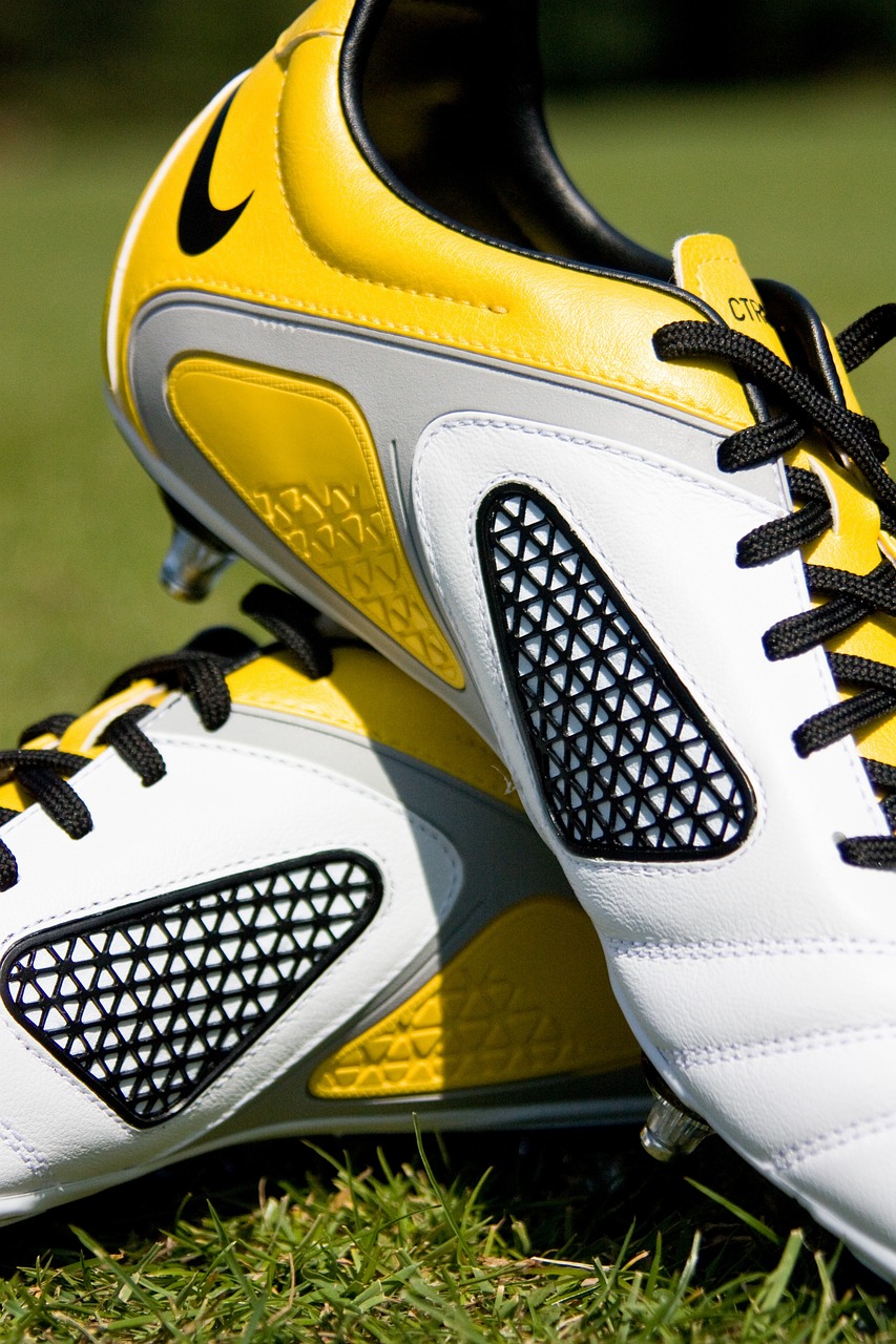 取得了历史 取得了历史